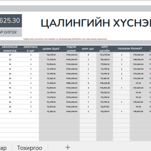 Цалингийн хүснэгт - Загвар 2