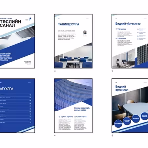 Төслийн санал - танилцуулга